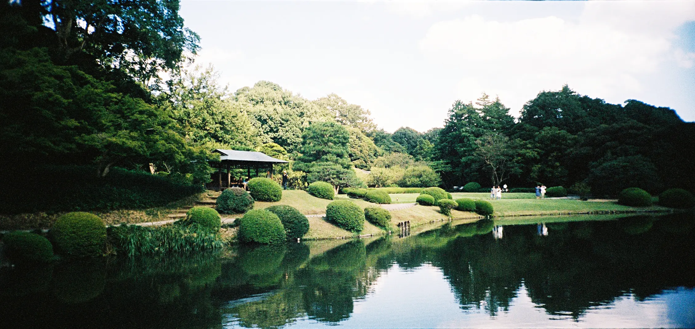 Shinjuku Park in Tokyo, Japan